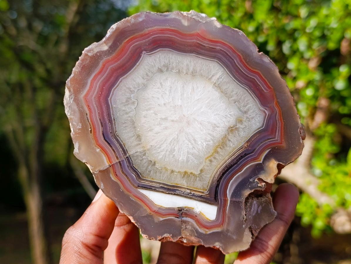 Polished One Side Red Shashe River Agate Slices x 2 From Shashe River, Zimbabwe - Toprock Gemstones and Minerals 
