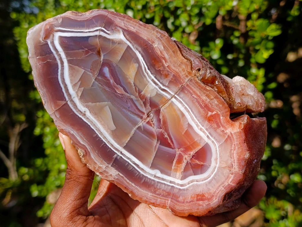 Polished One Side Red Shashe River Agate Slices x 2 From Shashe River, Zimbabwe - Toprock Gemstones and Minerals 