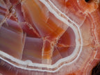 Polished One Side Red Shashe River Agate Slices x 2 From Shashe River, Zimbabwe - Toprock Gemstones and Minerals 