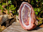 Polished One Side Red Shashe River Agate Slices x 2 From Shashe River, Zimbabwe - Toprock Gemstones and Minerals 