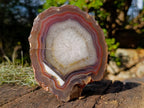 Polished One Side Red Shashe River Agate Slices x 2 From Shashe River, Zimbabwe - Toprock Gemstones and Minerals 