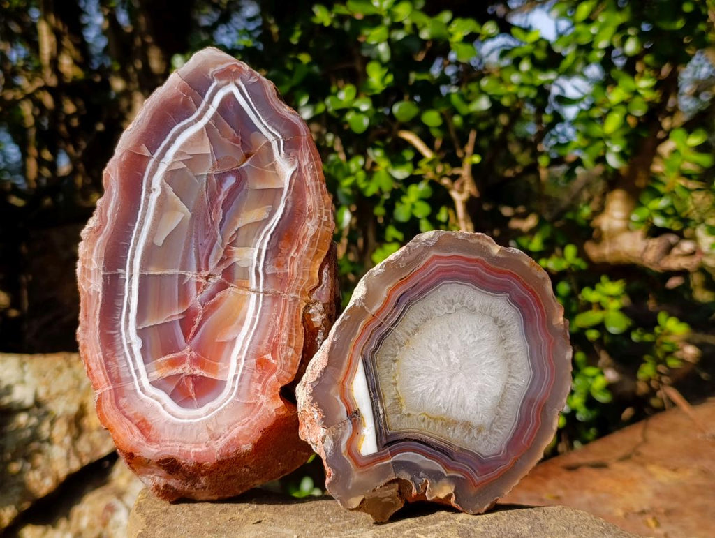 Polished One Side Red Shashe River Agate Slices x 2 From Shashe River, Zimbabwe - Toprock Gemstones and Minerals 