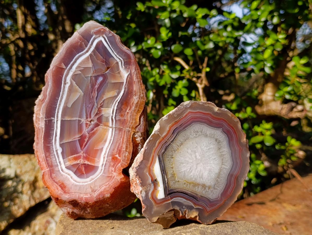 Polished One Side Red Shashe River Agate Slices x 2 From Shashe River, Zimbabwe - Toprock Gemstones and Minerals 