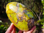Polished Green Opal Standing Display Pieces x 2 From Betroka, Madagascar - Toprock Gemstones and Minerals 