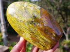 Polished Green Opal Standing Display Pieces x 2 From Betroka, Madagascar - Toprock Gemstones and Minerals 
