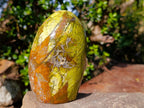 Polished Green Opal Standing Display Pieces x 2 From Betroka, Madagascar - Toprock Gemstones and Minerals 