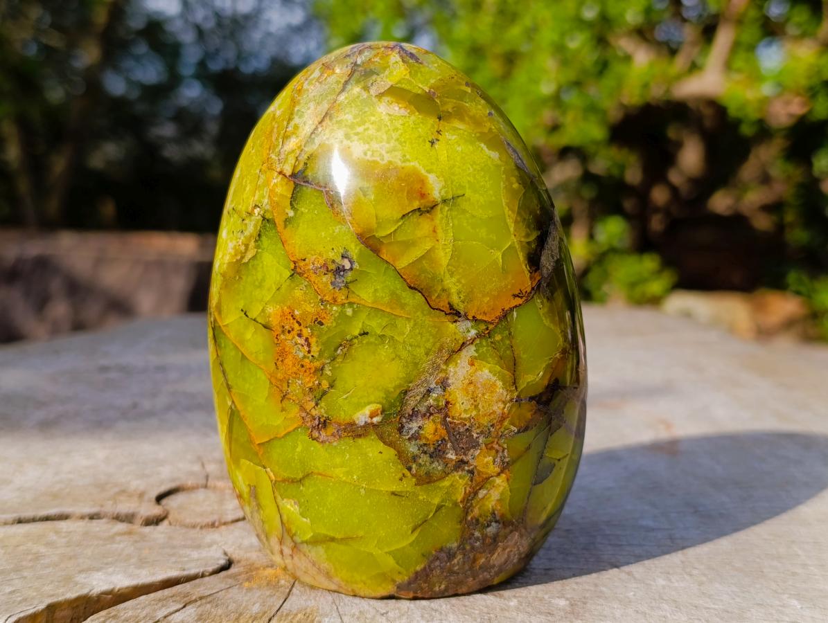Polished Green Opal Standing Display Pieces x 2 From Betroka, Madagascar - Toprock Gemstones and Minerals 