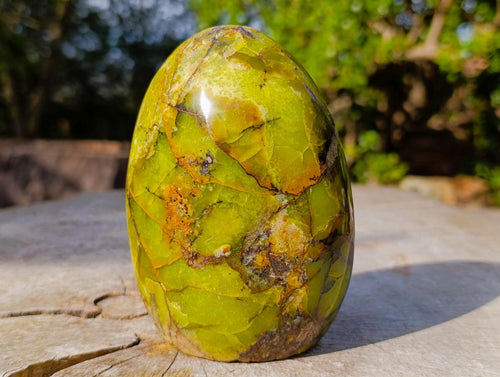 Polished Green Opal Standing Display Pieces x 2 From Betroka, Madagascar - Toprock Gemstones and Minerals 
