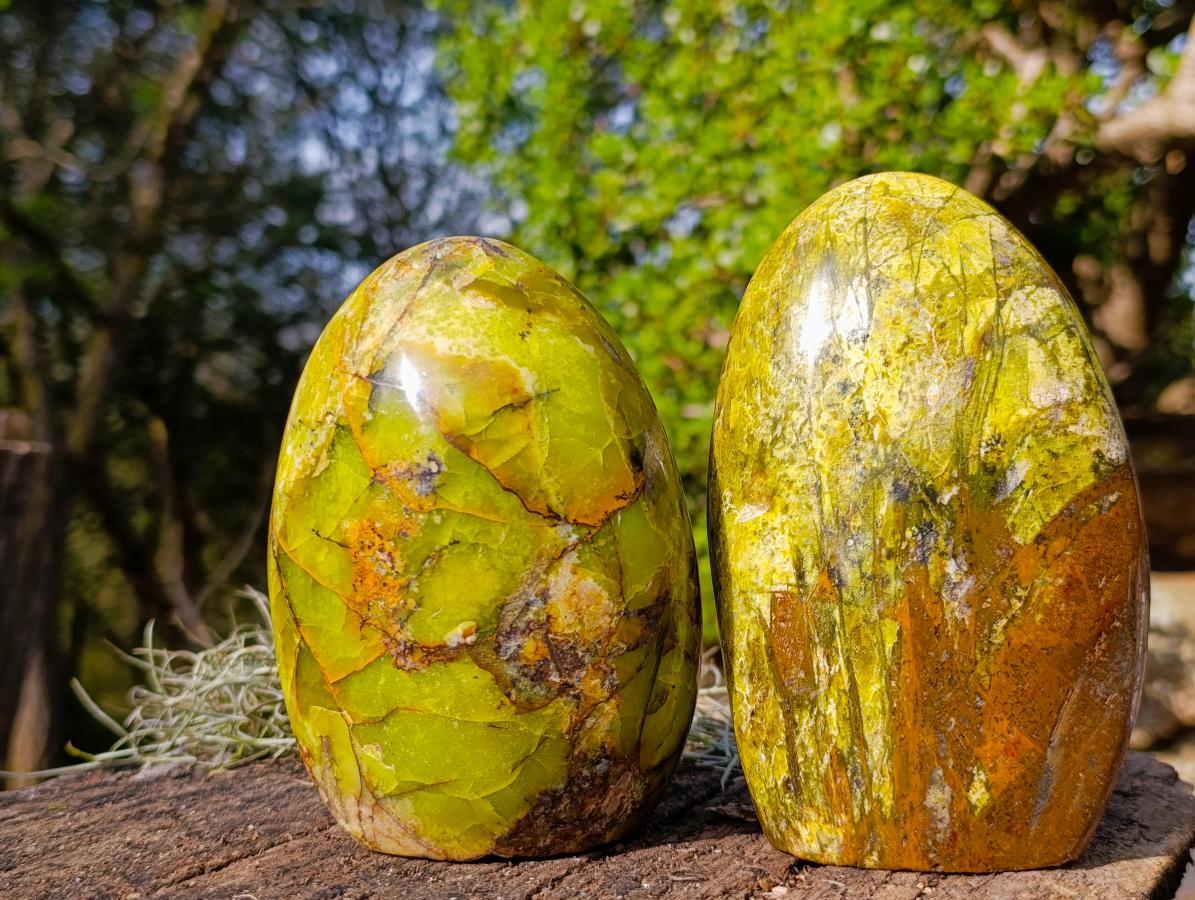 Polished Green Opal Standing Display Pieces x 2 From Betroka, Madagascar - Toprock Gemstones and Minerals 