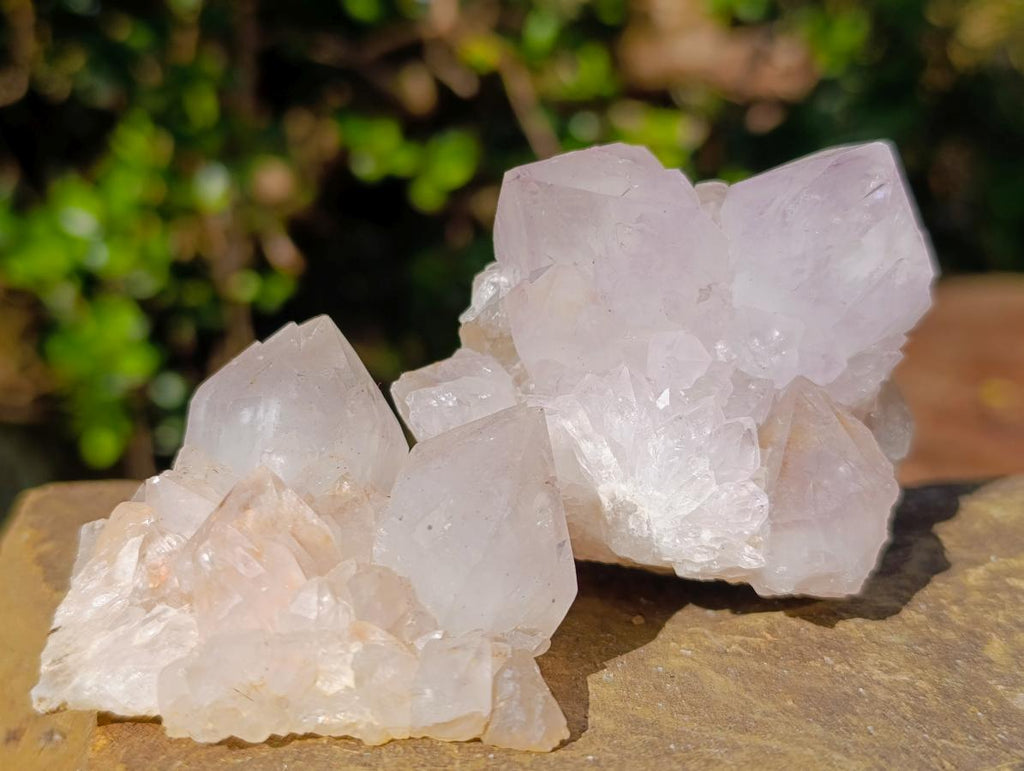 Natural Lilac Spirit Amethyst Clusters x 13 From Boekenhouthoek, South Africa - Toprock Gemstones and Minerals 