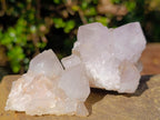 Natural Lilac Spirit Amethyst Clusters x 13 From Boekenhouthoek, South Africa - Toprock Gemstones and Minerals 
