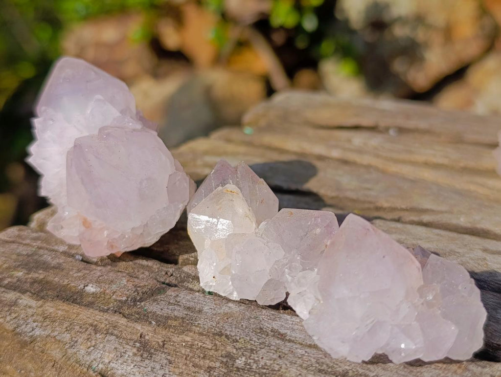 Natural Lilac Spirit Amethyst Clusters x 13 From Boekenhouthoek, South Africa - Toprock Gemstones and Minerals 