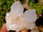 Natural Lilac Spirit Amethyst Clusters x 13 From Boekenhouthoek, South Africa - Toprock Gemstones and Minerals 