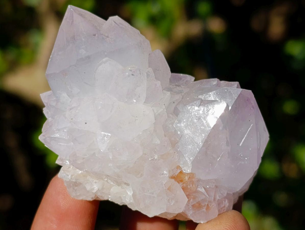 Natural Lilac Spirit Amethyst Clusters x 13 From Boekenhouthoek, South Africa - Toprock Gemstones and Minerals 
