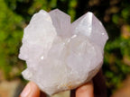 Natural Lilac Spirit Amethyst Clusters x 13 From Boekenhouthoek, South Africa - Toprock Gemstones and Minerals 