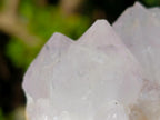 Natural Lilac Spirit Amethyst Clusters x 13 From Boekenhouthoek, South Africa - Toprock Gemstones and Minerals 