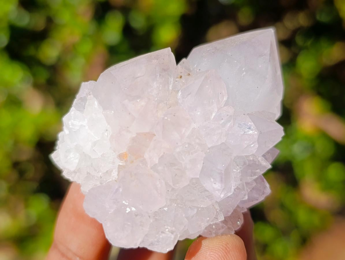 Natural Lilac Spirit Amethyst Clusters x 13 From Boekenhouthoek, South Africa - Toprock Gemstones and Minerals 