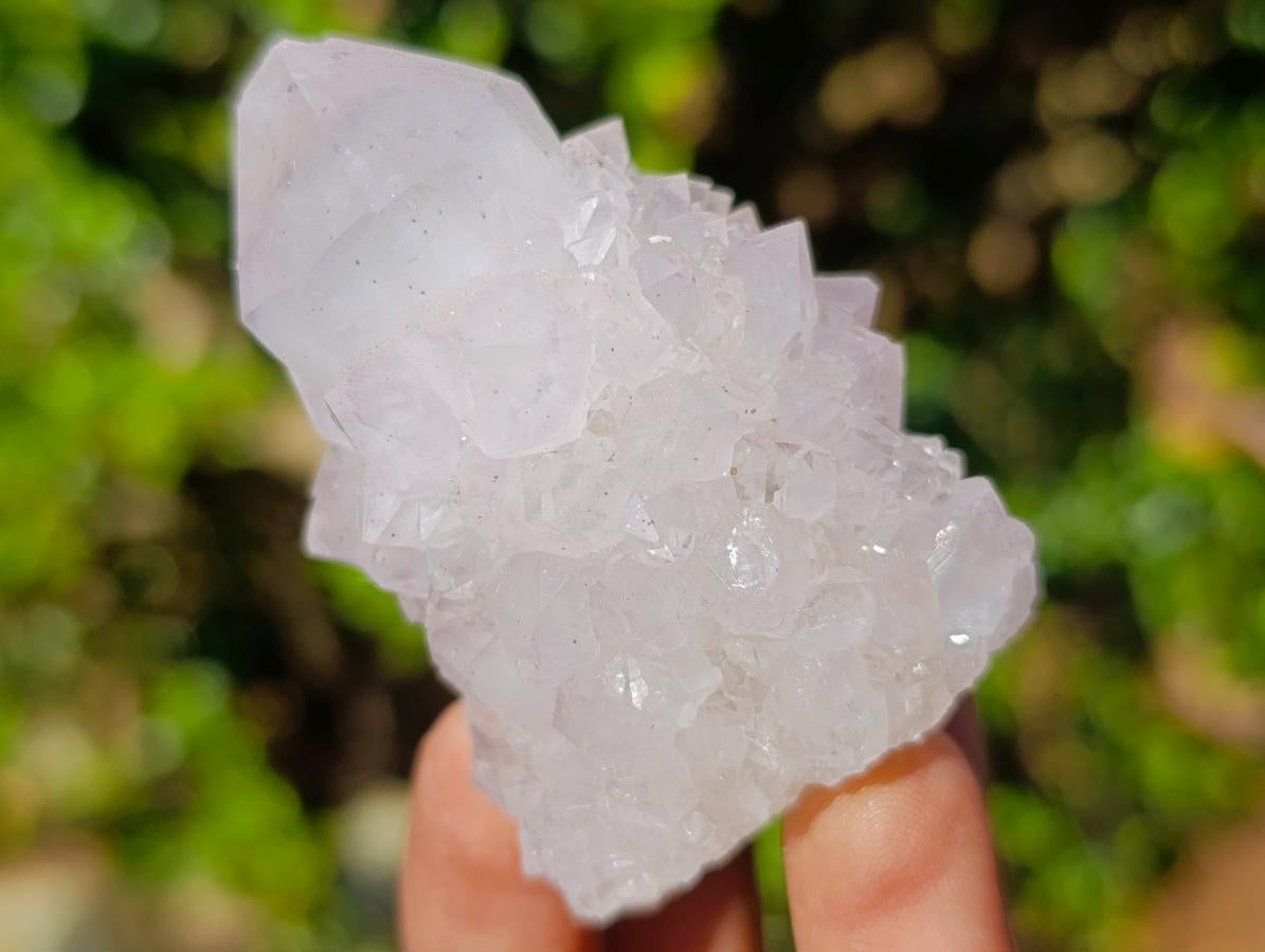 Natural Lilac Spirit Amethyst Clusters x 13 From Boekenhouthoek, South Africa - Toprock Gemstones and Minerals 