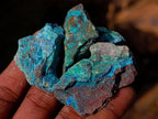Natural Rough Cobbed Shattuckite Specimens x 2.79 kg Lot From Kaokoveld, Namibia - Toprock Gemstones and Minerals 