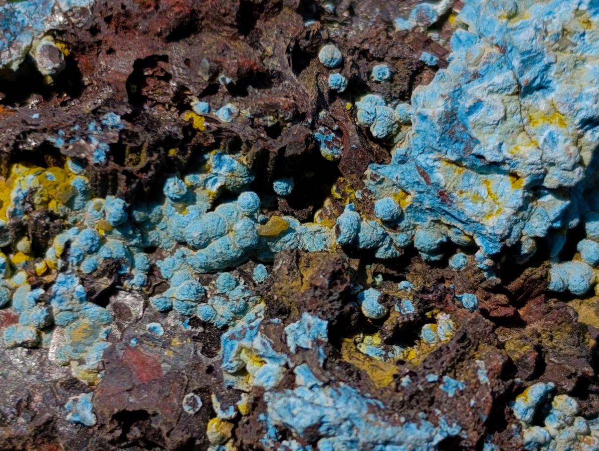 Natural Rough Cobbed Shattuckite Specimens x 2.79 kg Lot From Kaokoveld, Namibia - Toprock Gemstones and Minerals 