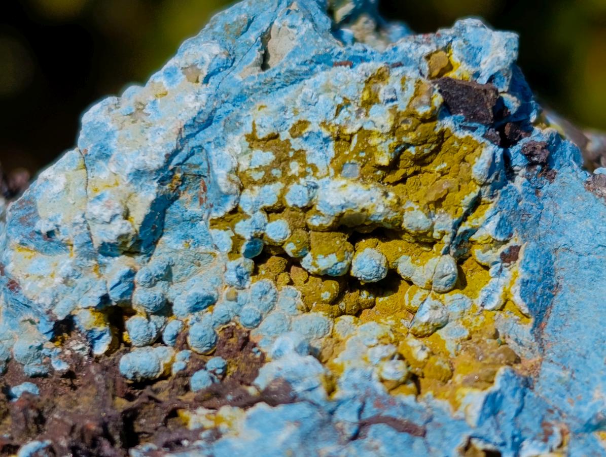 Natural Rough Cobbed Shattuckite Specimens x 2.79 kg Lot From Kaokoveld, Namibia - Toprock Gemstones and Minerals 
