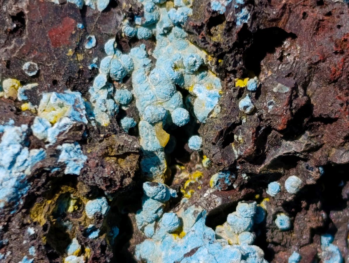 Natural Rough Cobbed Shattuckite Specimens x 2.79 kg Lot From Kaokoveld, Namibia - Toprock Gemstones and Minerals 