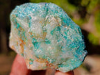 Natural Rough Cobbed Shattuckite Specimens x 2.79 kg Lot From Kaokoveld, Namibia - Toprock Gemstones and Minerals 
