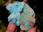 Natural Rough Cobbed Shattuckite Specimens x 2.79 kg Lot From Kaokoveld, Namibia - Toprock Gemstones and Minerals 