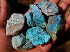 Natural Rough Cobbed Shattuckite Specimens x 2.79 kg Lot From Kaokoveld, Namibia - Toprock Gemstones and Minerals 