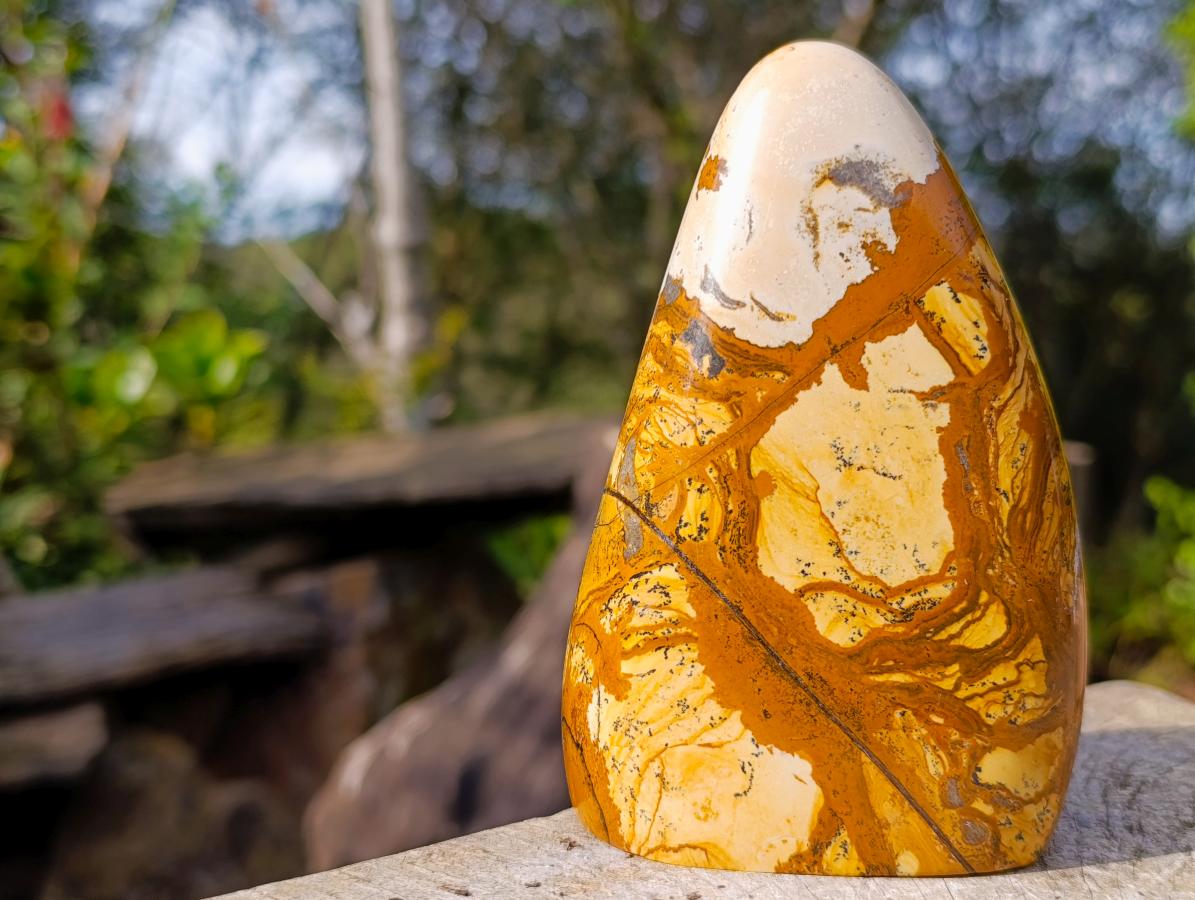 Polished Picture Stone Jasper Standing Display Pieces x 3 From Ais-Ais, Namibia - Toprock Gemstones and Minerals 