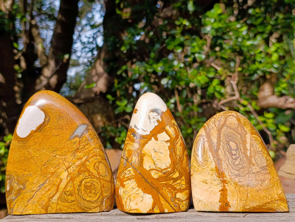 Polished Picture Stone Jasper Standing Display Pieces x 3 From Ais-Ais, Namibia - Toprock Gemstones and Minerals 