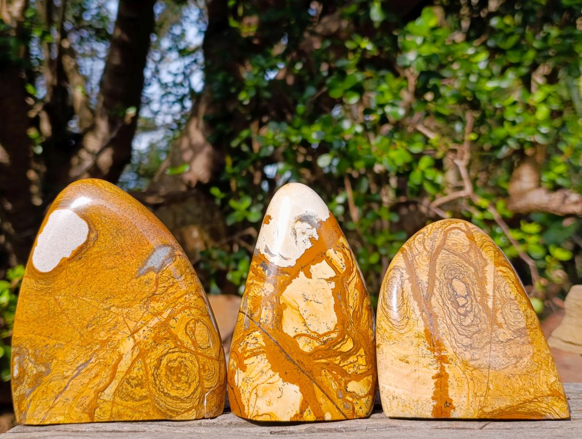Polished Picture Stone Jasper Standing Display Pieces x 3 From Ais-Ais, Namibia - Toprock Gemstones and Minerals 