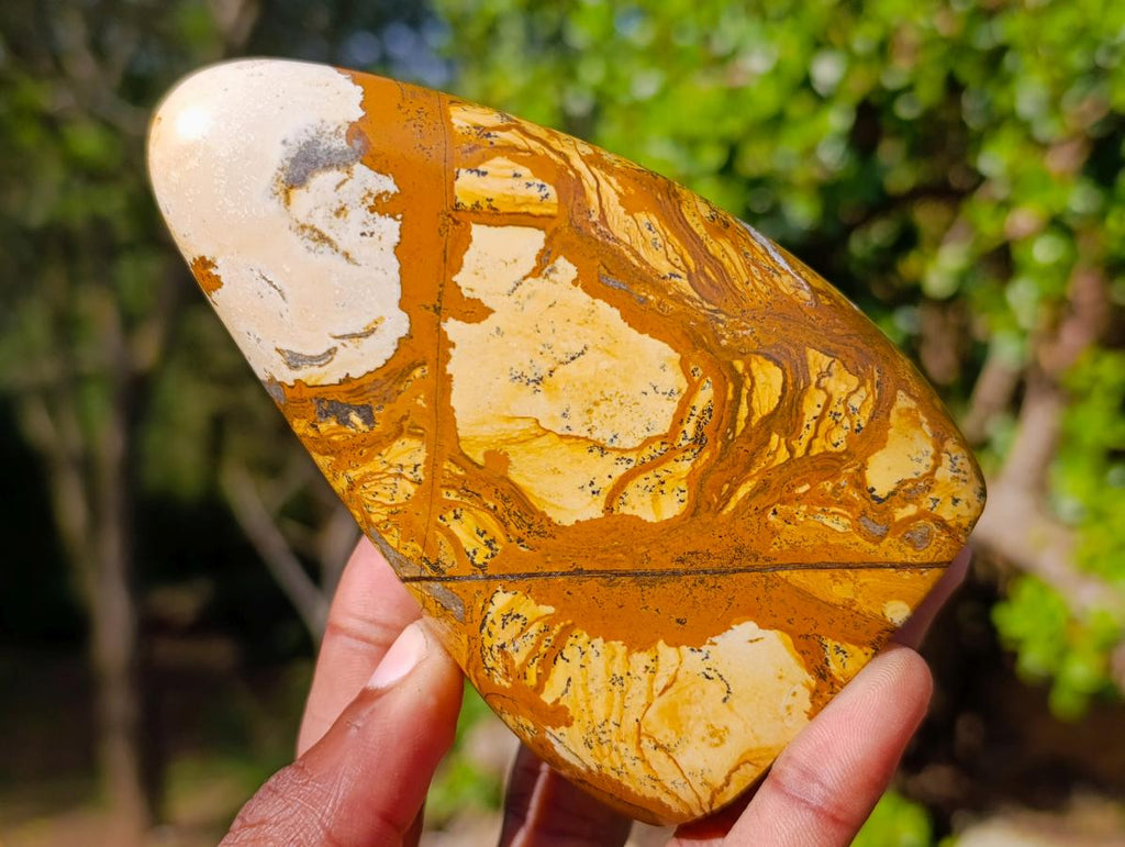Polished Picture Stone Jasper Standing Display Pieces x 3 From Ais-Ais, Namibia - Toprock Gemstones and Minerals 