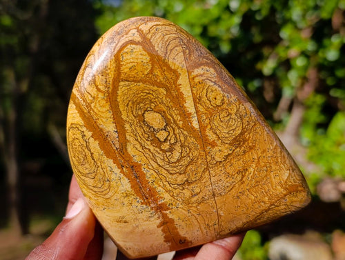 Polished Picture Stone Jasper Standing Display Pieces x 3 From Ais-Ais, Namibia - Toprock Gemstones and Minerals 