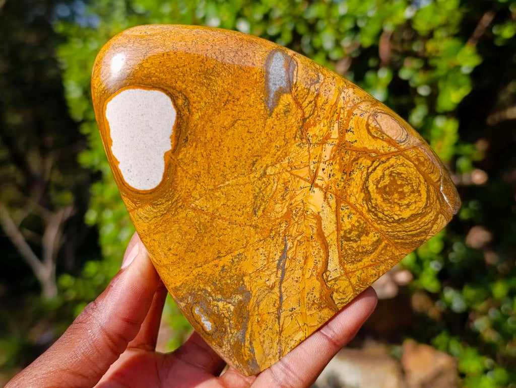 Polished Picture Stone Jasper Standing Display Pieces x 3 From Ais-Ais, Namibia - Toprock Gemstones and Minerals 