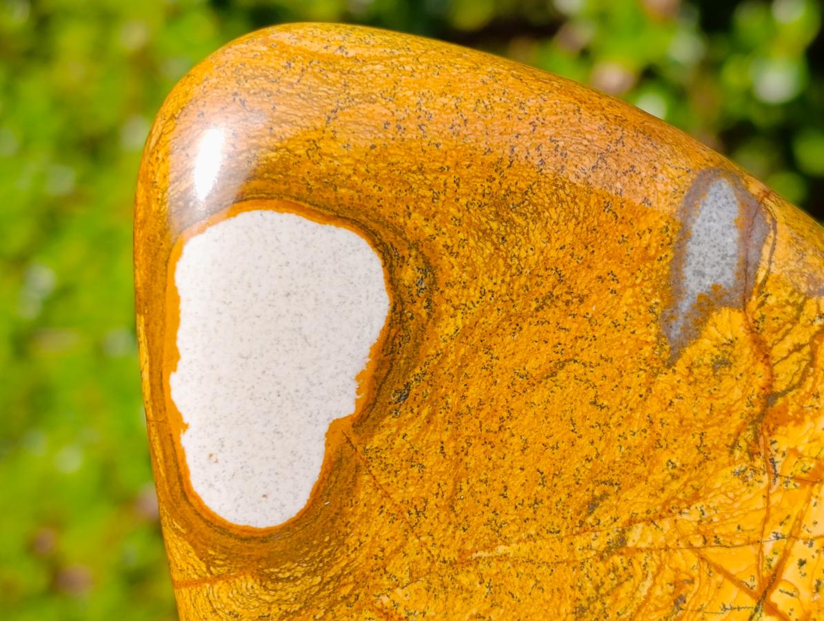 Polished Picture Stone Jasper Standing Display Pieces x 3 From Ais-Ais, Namibia - Toprock Gemstones and Minerals 