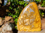 Polished Picture Stone Jasper Standing Display Pieces x 3 From Ais-Ais, Namibia - Toprock Gemstones and Minerals 