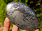 Polished Basalt Pharaoh Stone Galets x 6 From Iron Duke Mine, Zimbabwe - Toprock Gemstones and Minerals 