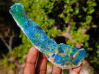 Polished Shattuckite Free Form Slices with Associated Minerals x 28 From Kaokoveld, Namibia - Toprock Gemstones and Minerals 