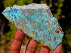 Polished Shattuckite Free Form Slices with Associated Minerals x 28 From Kaokoveld, Namibia - Toprock Gemstones and Minerals 