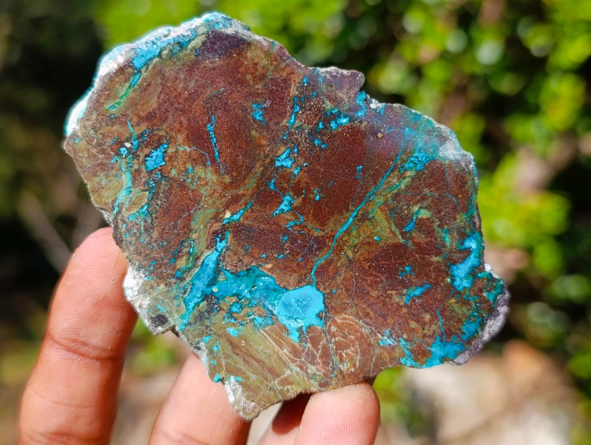 Polished Shattuckite Free Form Slices with Associated Minerals x 28 From Kaokoveld, Namibia - Toprock Gemstones and Minerals 