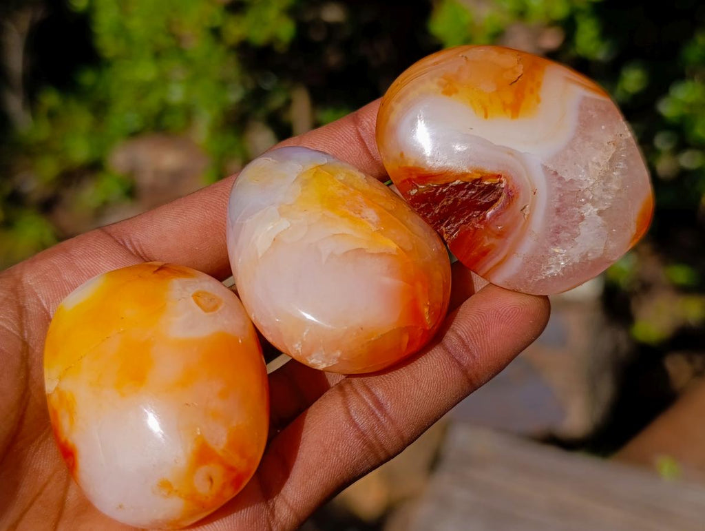 Polished Carnelian Agate Gemstone Palm Stones x 28 From Madagascar - Toprock Gemstones and Minerals 