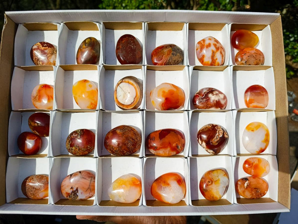 Polished Carnelian Agate Gemstone Palm Stones x 28 From Madagascar - Toprock Gemstones and Minerals 