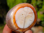 Polished Carnelian Agate Gemstone Palm Stones x 28 From Madagascar - Toprock Gemstones and Minerals 