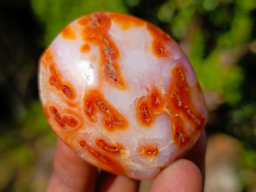 Polished Carnelian Agate Gemstone Palm Stones x 28 From Madagascar - Toprock Gemstones and Minerals 