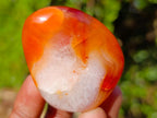 Polished Carnelian Agate Gemstone Palm Stones x 28 From Madagascar - Toprock Gemstones and Minerals 