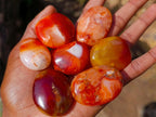 Polished Carnelian Agate Gemstone Palm Stones x 28 From Madagascar - Toprock Gemstones and Minerals 