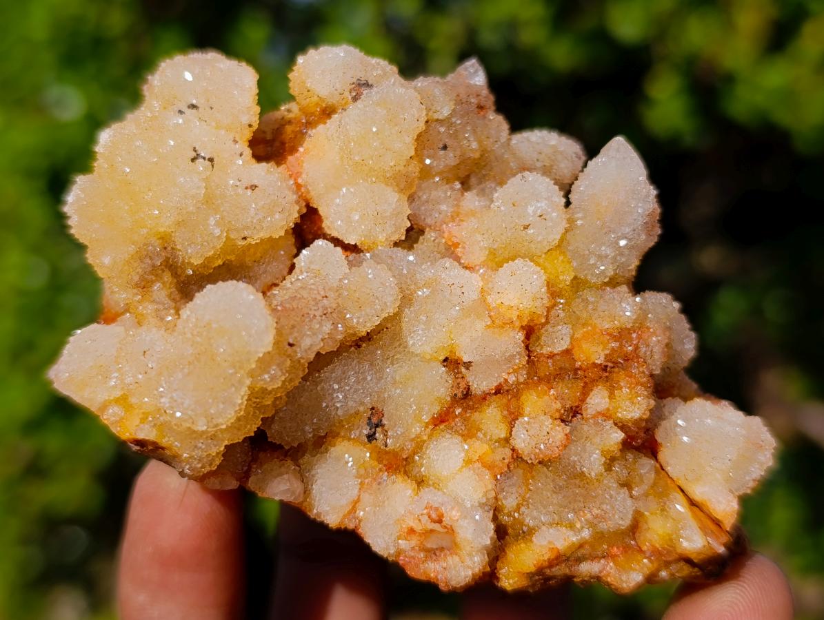 Natural Golden Limonite Spirit Quartz Crystal Clusters x 12 From Boekenhouthoek, South Africa - Toprock Gemstones and Minerals 