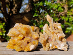 Natural Golden Limonite Spirit Quartz Crystal Clusters x 12 From Boekenhouthoek, South Africa - Toprock Gemstones and Minerals 