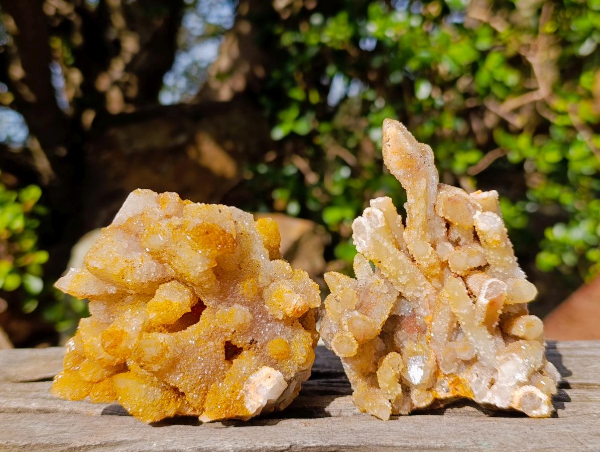 Natural Golden Limonite Spirit Quartz Crystal Clusters x 12 From Boekenhouthoek, South Africa - Toprock Gemstones and Minerals 